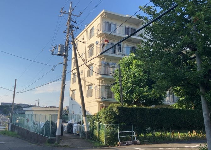 外観：313004339463