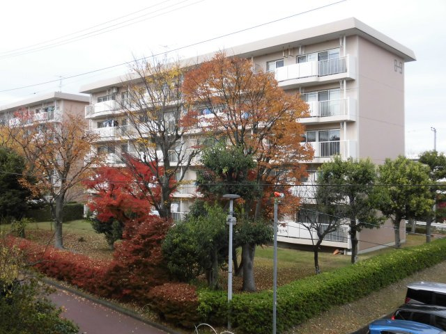 外観：313004508153