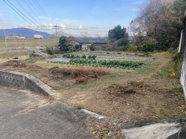 外観：343000087166