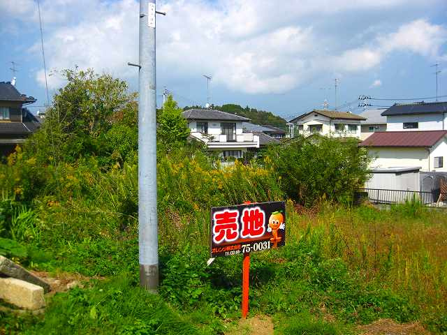 外観：307000073487