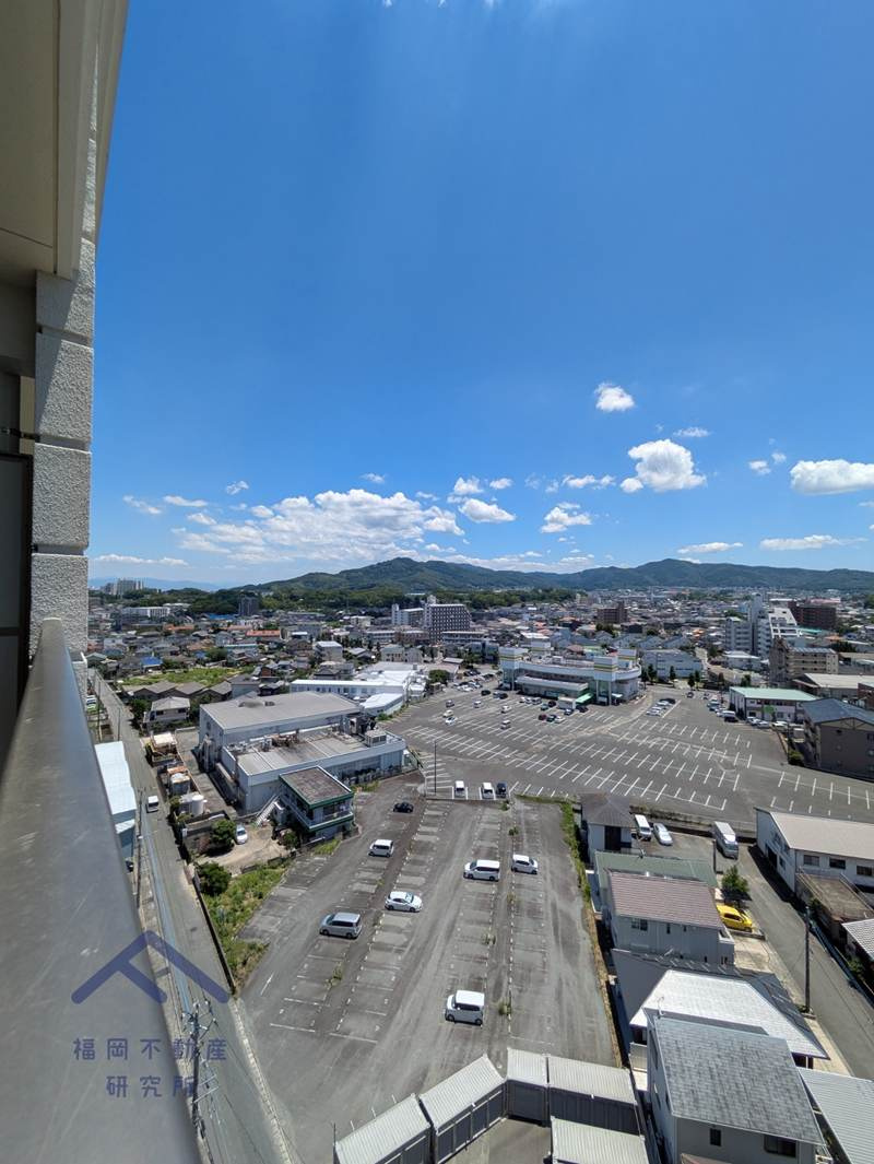 展望