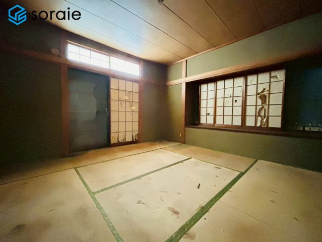 2026/5/8撮影