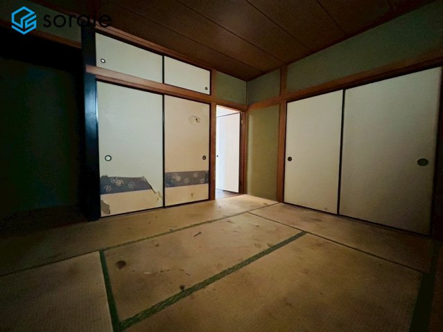 2026/5/8撮影