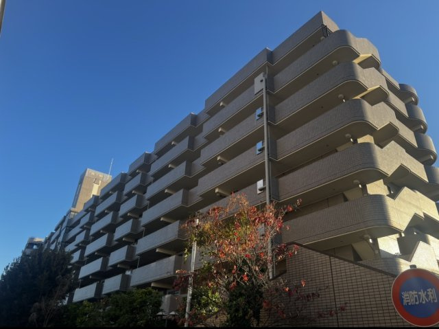 外観：311002371596