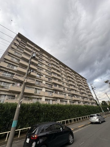 外観：313004587567