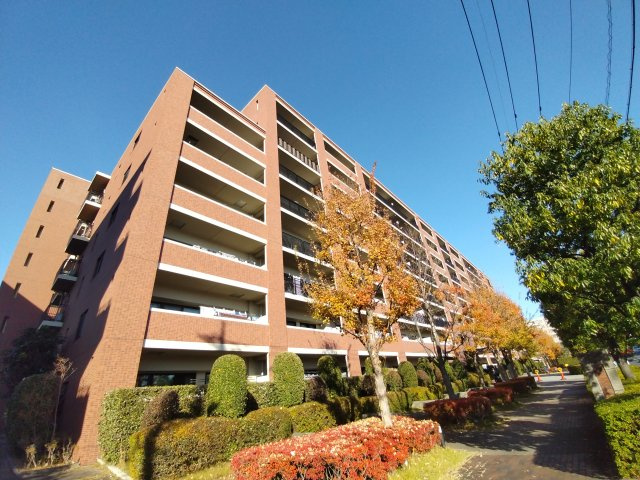 外観：311002294078