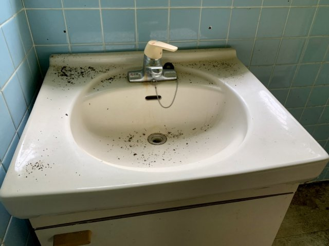 独立洗面化粧台が付いています