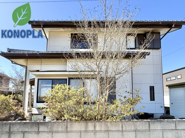 外観：310000088526