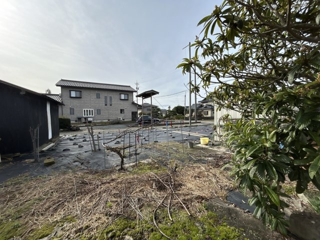 現地写真