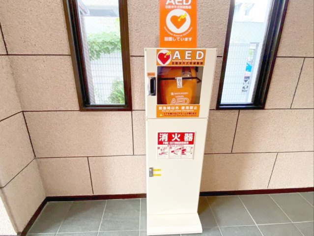 AED