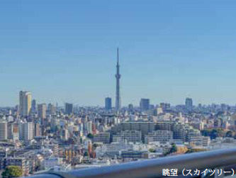 展望