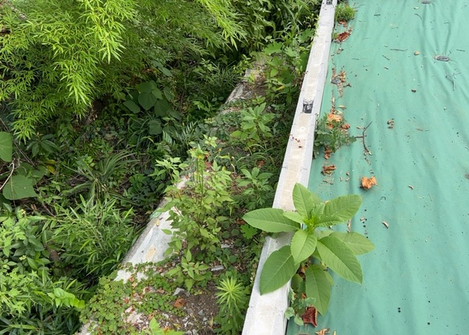 土地の形が極端に長細かったり、狭小地、あるいは道路との高低差がある傾斜地だった場合、後々売ろうとしても買い手がつかない場合もあります。後々、売却することになった時に価値の下がらない土地を選びましょう。