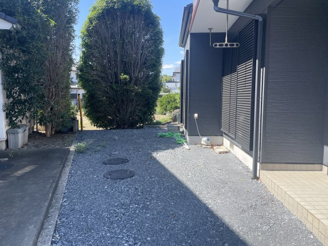庭