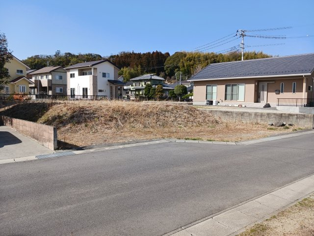 外観：307000077871