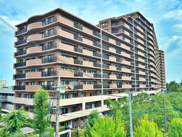 外観：313004488905