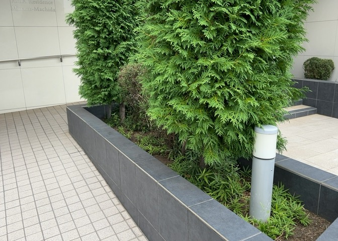 中庭（パティオ）とは、一つの建築物の内部に設けられた、壁などで囲われている庭のことを指します。コの字型、ロの字型が主流ですが、L字型の中庭もあります。最近では、インテリア性の高さからも人気があります。