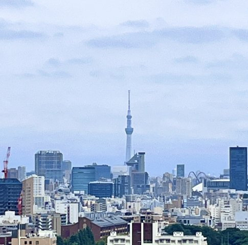 展望