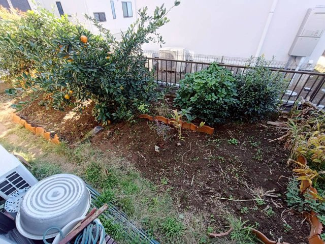 庭があります