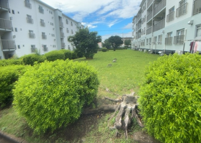 敷地周囲には豊かな緑が広がっており四季折々の自然を感じられる環境です。緑豊かな住宅地に位置しており、静かで穏やかな日常を過ごせます。近隣には歩道も整備されており散歩や散策なども快適に楽しめます。
