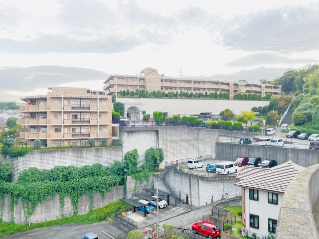 外観：314002871584
