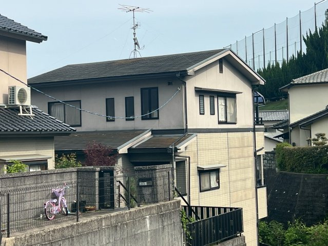 外観：334000246361