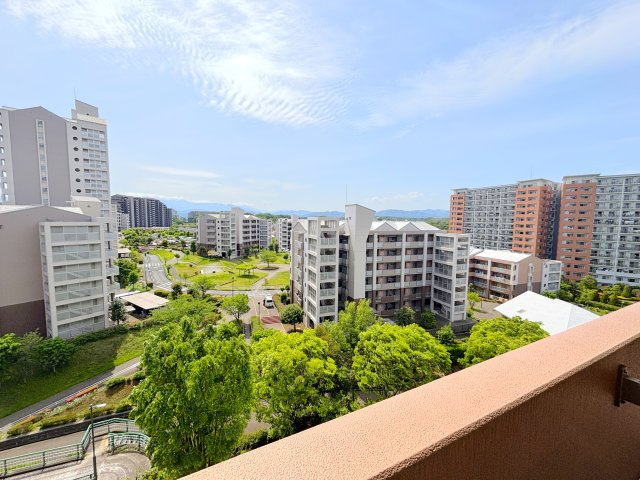 展望