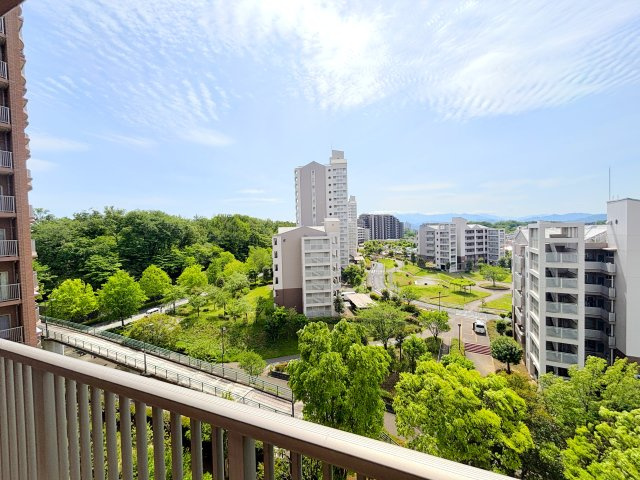 展望