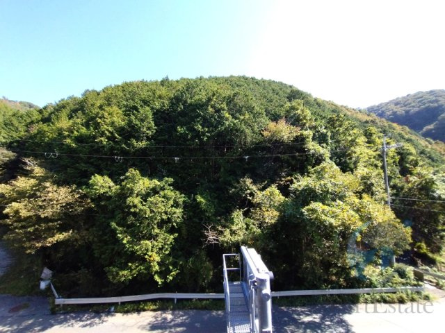 展望