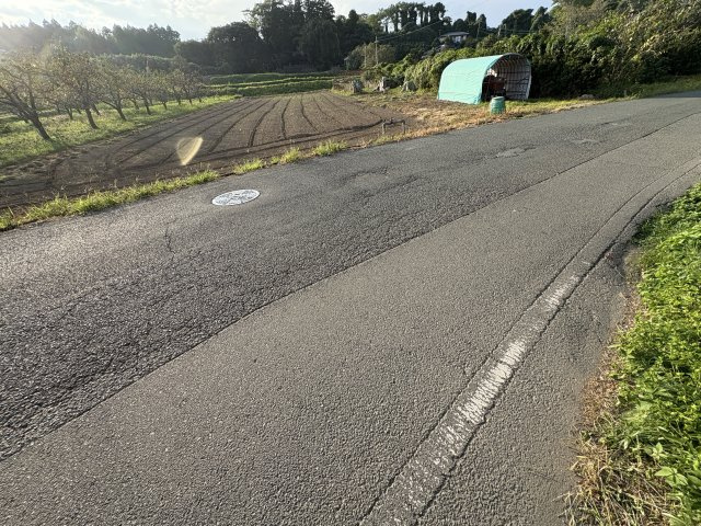 外観：343000083677