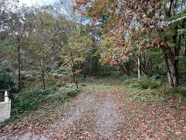 外観：325000117417