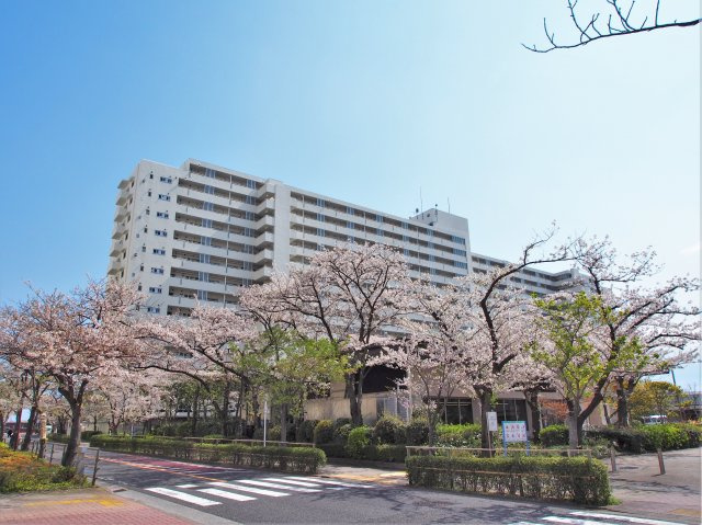 外観：313004859940