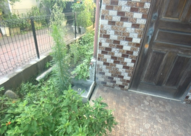 敷地内に散水栓や立水栓があると便利です。水道水を直接利用できるため、水を運ぶ手間を省くことが出来ます。大量の水を必要とする洗車作業や清掃などに役立ちます。その他設備とあわせて、現地でご確認ください。