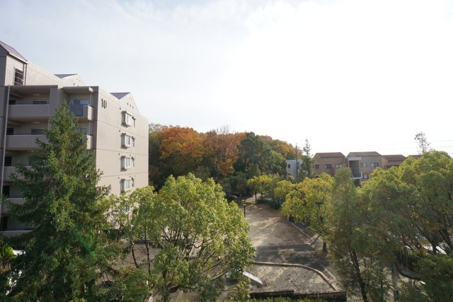 現地からの眺望。南面は公園のため、将来的に日当たりや眺望が変わることはございません！