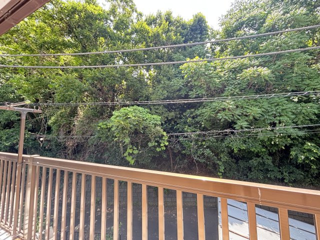 緑豊かな景色です。