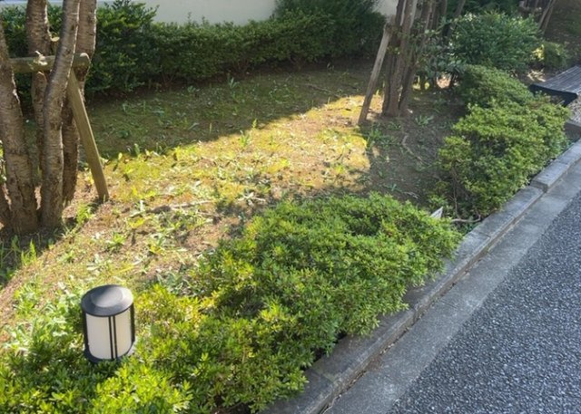 中庭（パティオ）とは、一つの建築物の内部に設けられた、壁などで囲われている庭のことを指します。コの字型、ロの字型が主流ですが、L字型の中庭もあります。最近では、インテリア性の高さからも人気があります。