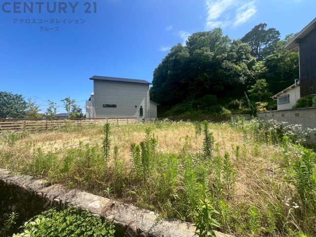 外観：328000448655