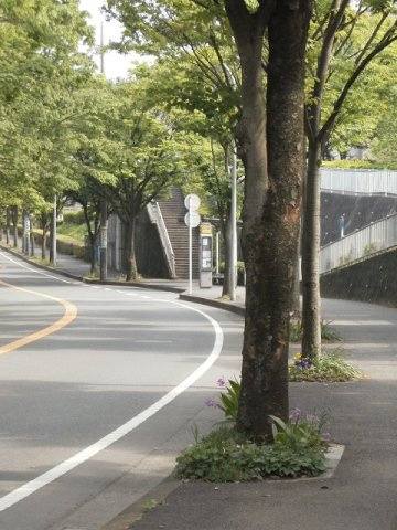 霧が丘公園前バス停