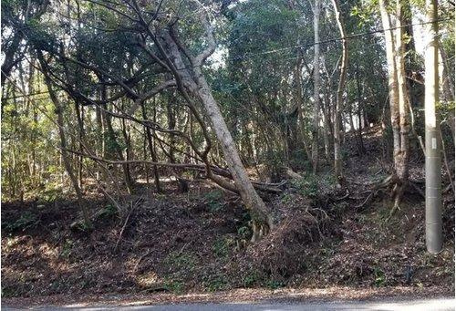 現地（2021年2月）撮影