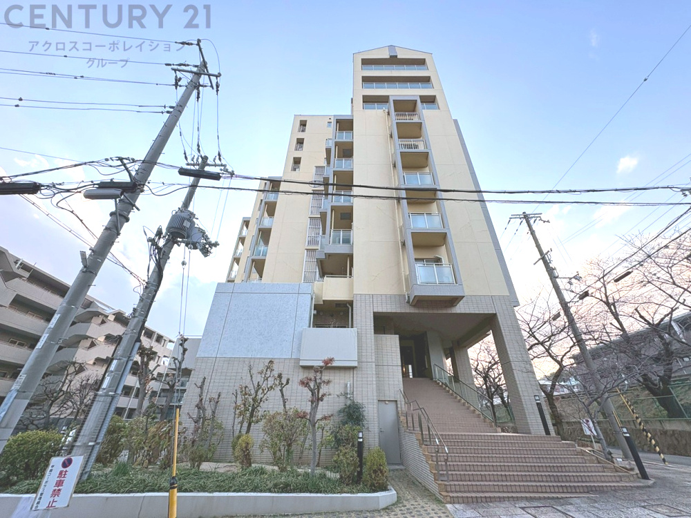 外観：328000574282