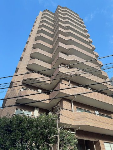 外観：313004902886