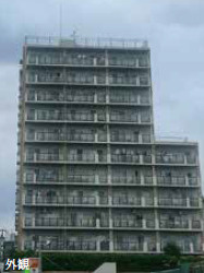 外観：313004662253