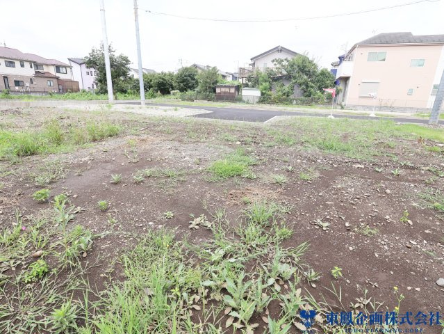 2026年7月　撮影
