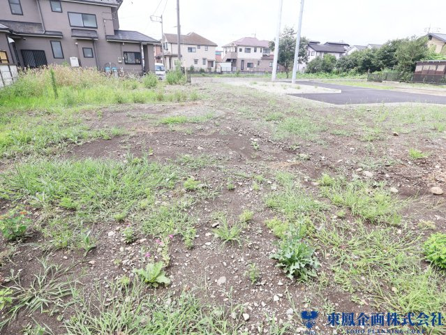 2026年7月　撮影