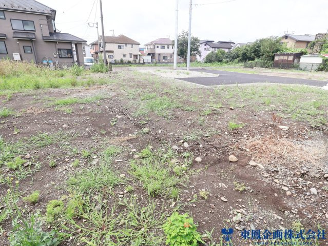 2026年7月　撮影