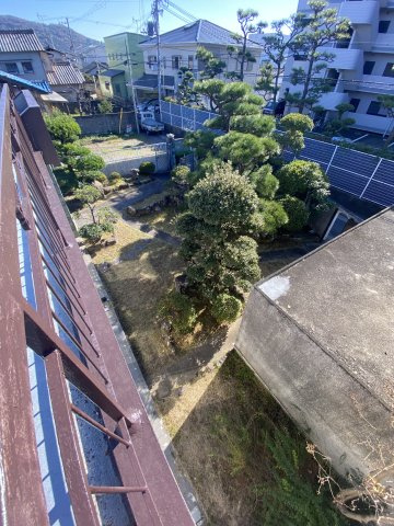庭