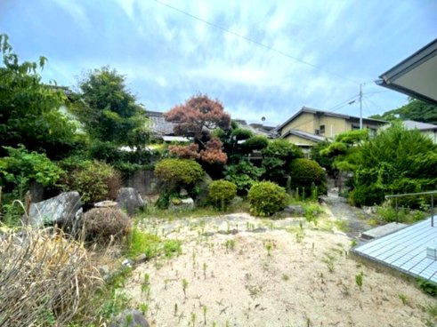 庭