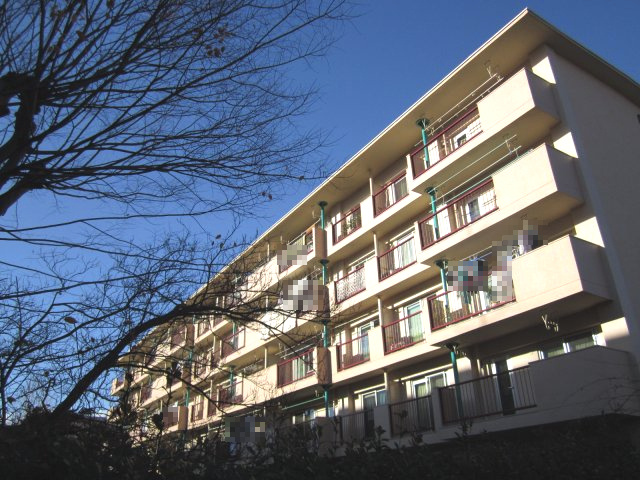 外観：313004350895