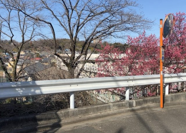 土地の地勢が高台の場合、景色を綺麗にみることができ、景色にこだわってお家探ししている方におすすめです！また平坦地よりも風通しがいいというメリットがあります。デメリットもあるので是非現地でご確認下さい。