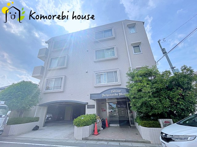 26.6.19　撮影済み
