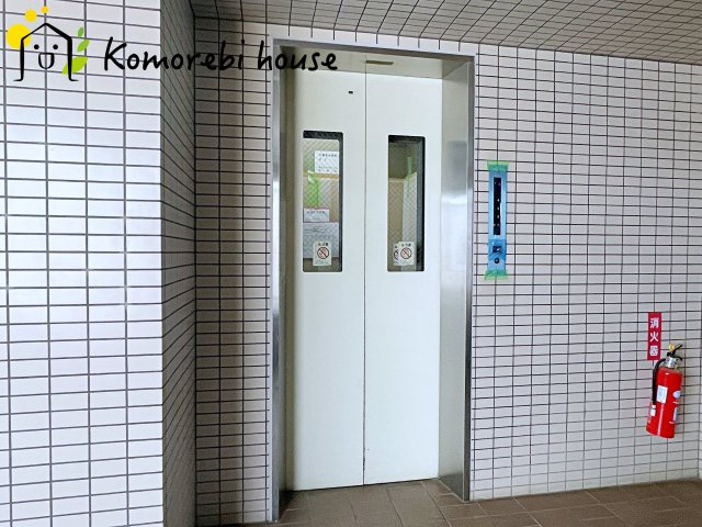 26.6.19　撮影済み